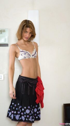 Preview 5