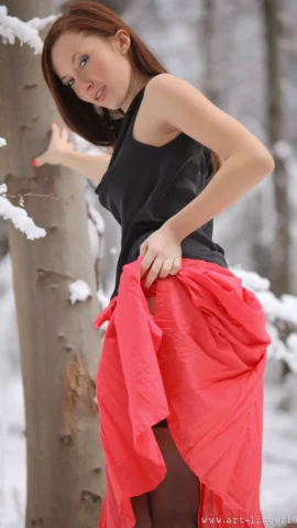 Preview 4