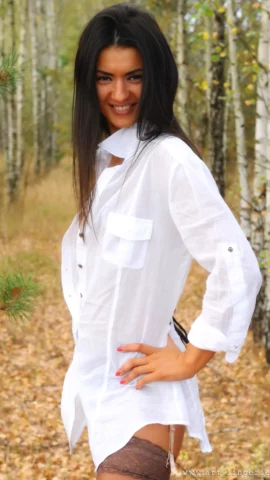Preview 5