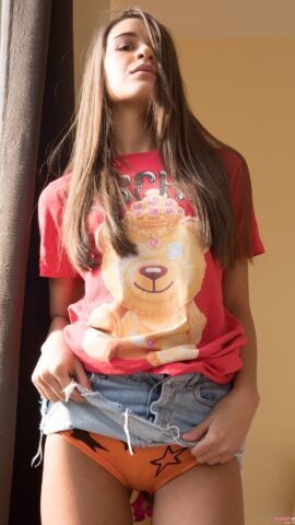 Preview 3