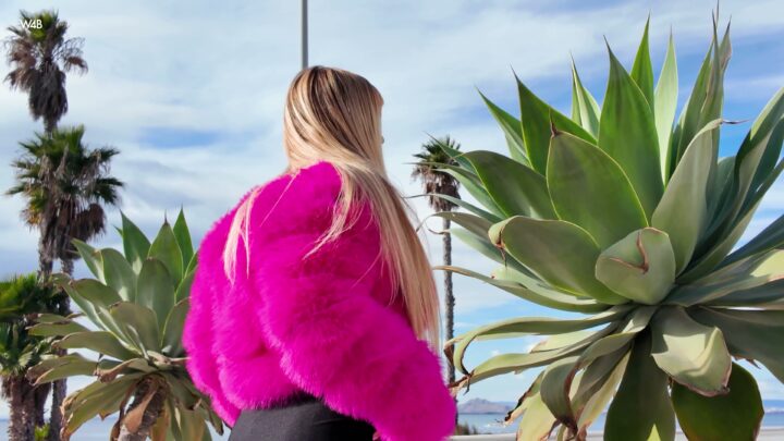 Preview 4