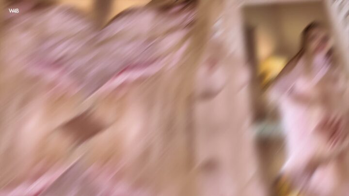 Preview 13