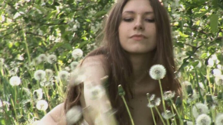 Preview 11