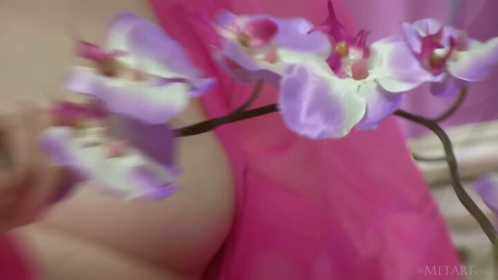 Preview 12
