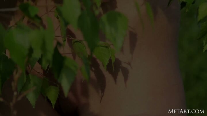 Preview 7