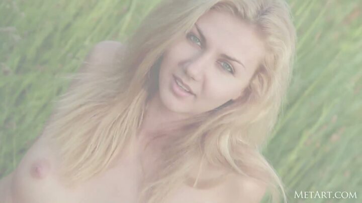 Preview 11
