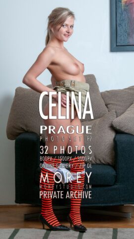 Preview 13