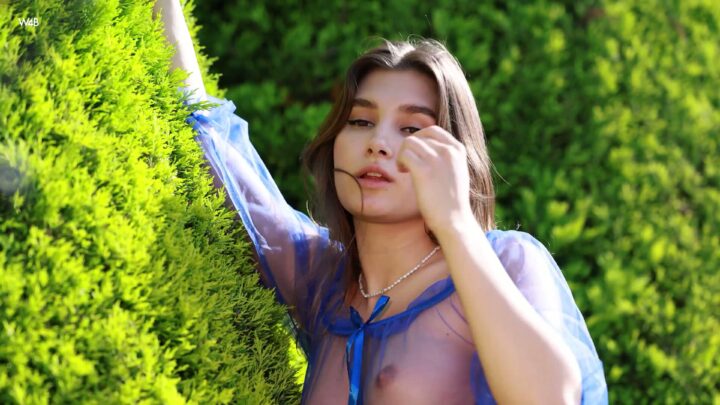 Preview 3
